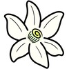 星空传媒百科全站版